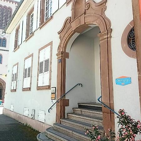 Un Petit Nid Atypique Au Coeur De Munster Apartment Мюнстер Екстериор снимка